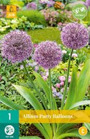 Allium party balloons 1 bol