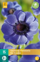 Anemone coronaria Mr. fokker - afbeelding 1