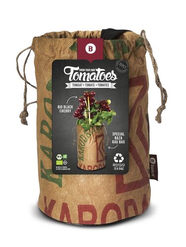 Seeds & Tomatoes rags bio black cherry - afbeelding 1