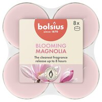 Bolsius maxilicht true scents magnolia 8 stuks
