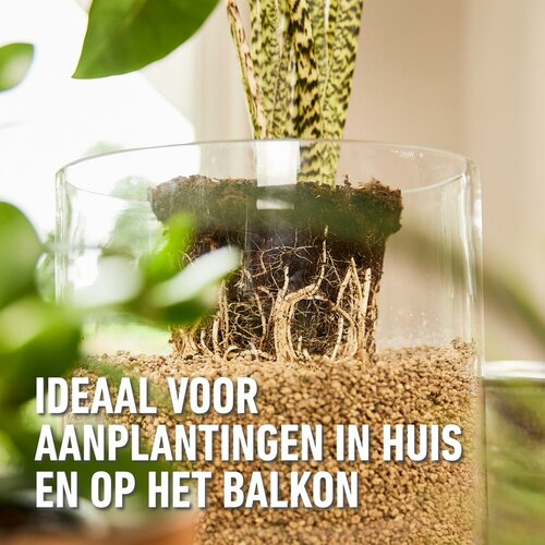 Compo bio granuplant 10 liter - afbeelding 2