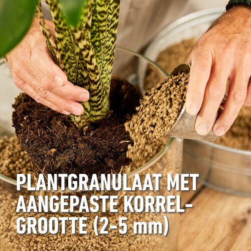 Compo bio granuplant 10 liter - afbeelding 3