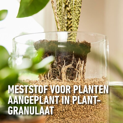 Compo bio granuplant voeding 500 ml - afbeelding 2