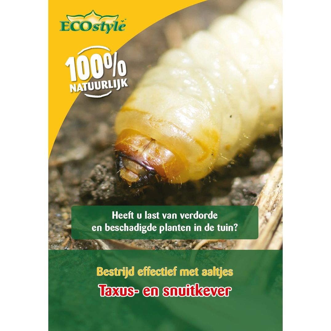 Ecostyle aaltjes tegen larven taxus-kever H 500 m²