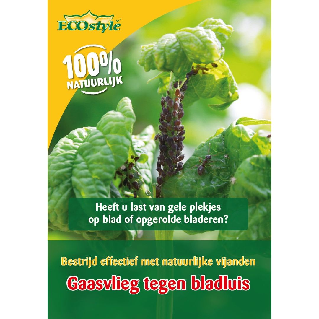 Ecostyle gaasvlieg tegen bladluis