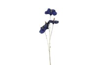 Hibiscus steel 81 cm blauw - goud