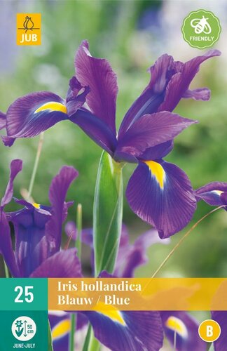 Iris hollandica blauw - afbeelding 1