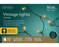 Led vintage lights 50 lamps batterijen groen / klassiek warm - afbeelding 2