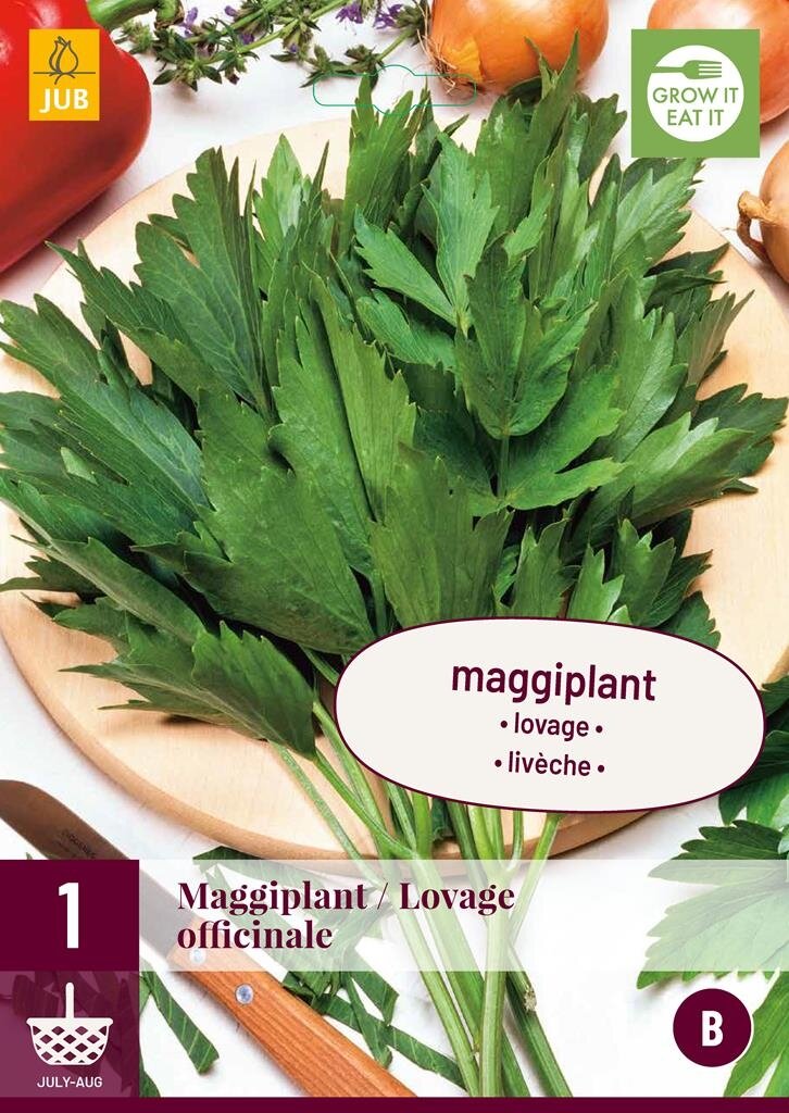 Levisticum officinale maggieplant