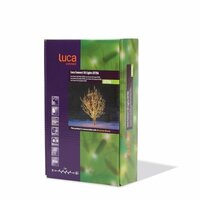 Luca Connect XP led clear 50 lampjes 5m extra - afbeelding 2