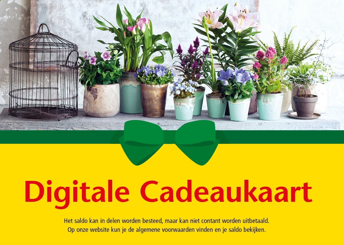 Oefenen karakter Plak opnieuw Oosteinde Digitale Cadeaukaart - DeOosteindeOnline.nl