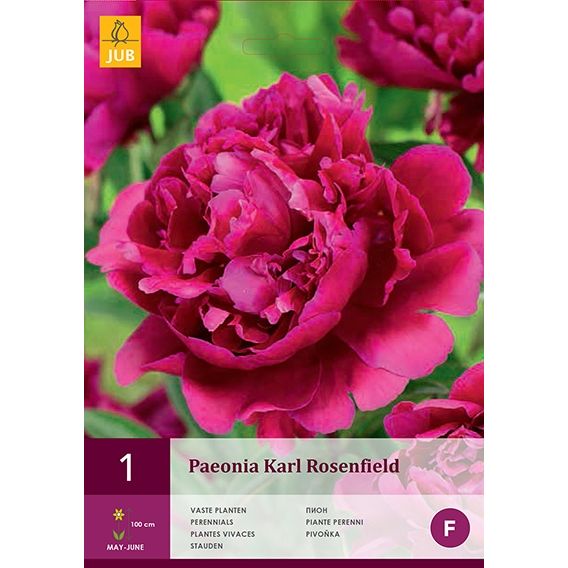 Paeonia karl rosenfield