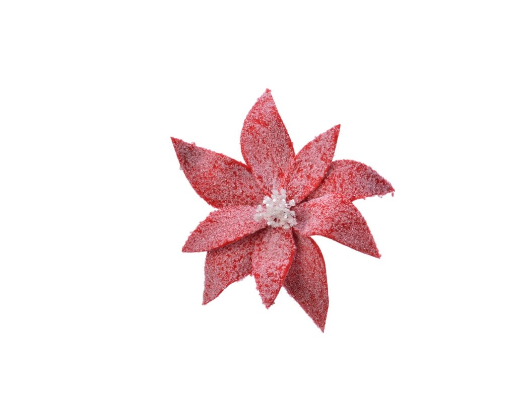 Poinsettia op clip fluweel met sneeuw 29 cm kerst rood