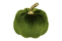 Pompoen pumpa 12 cm groen