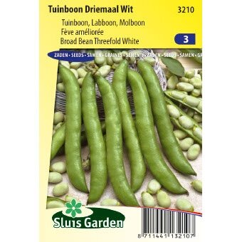 Tuinboon Driemaal Wit 80 gram