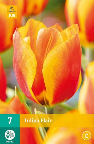 Tulp Flair 7 bollen - afbeelding 1