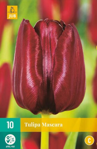 Tulp mascara 10 bollen - afbeelding 1